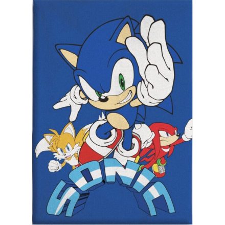 Sonic a sündisznó Coin Chase polár takaró 100x140cm